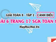 Giải bài 6 trang 17 Toán 8 Tập 1 SGK Cánh Diều